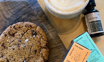 Seasonal Change Survival Guide: 6 Tips for a Better Fall+winter