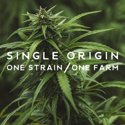 what is single-origin hemp and why does it matter?
