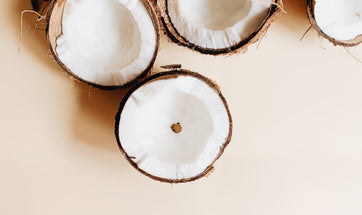 Co-Co-Nuts for MCT's: why we Use MCT Coconut Oil in Our CBD Tinctures