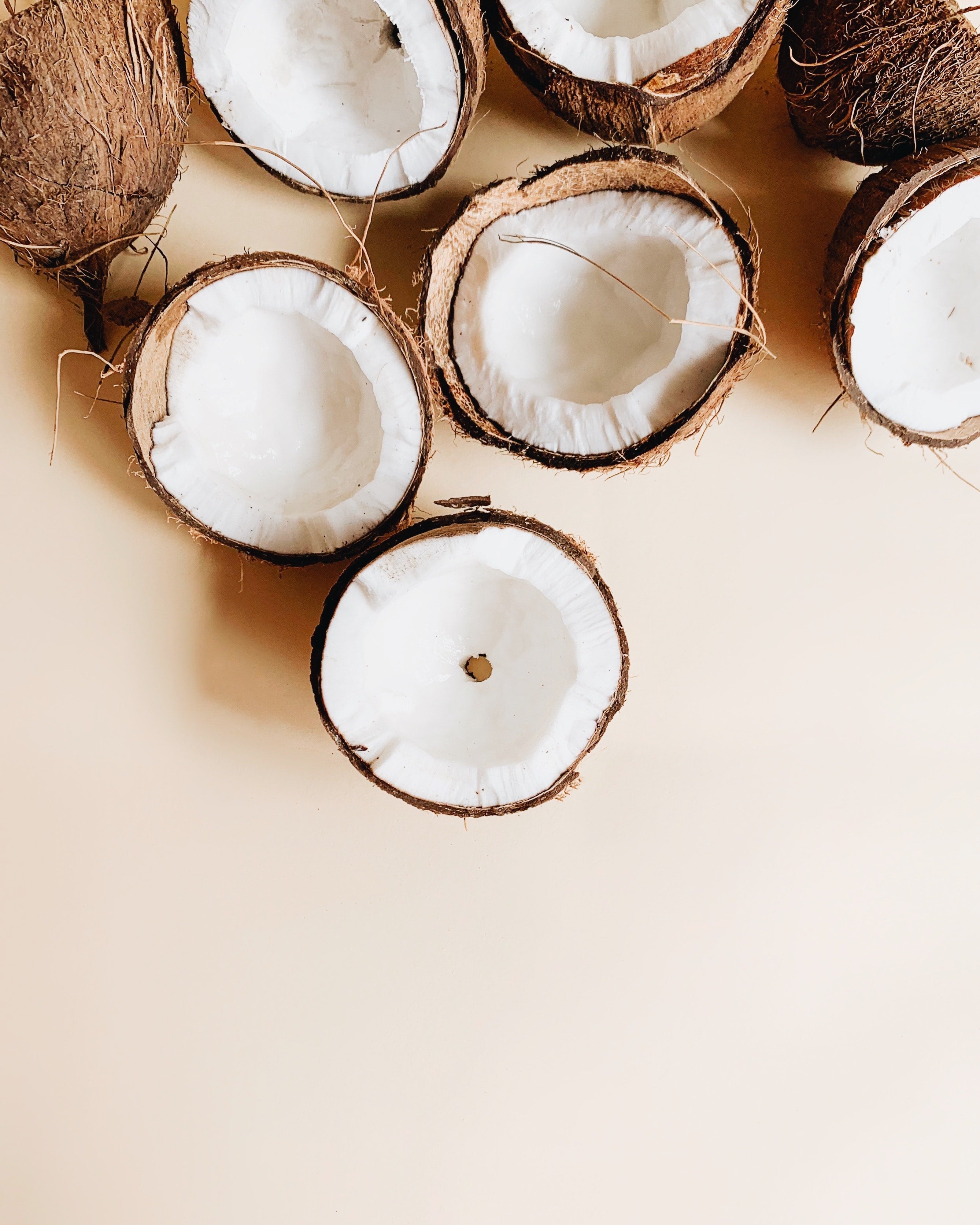 Co-Co-Nuts for MCT's: why we Use MCT Coconut Oil in Our CBD Tinctures